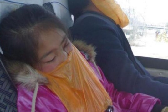 头晕头痛|为什么有人会晕车竟然是这个器官在“捣乱”,可惜你还不知道