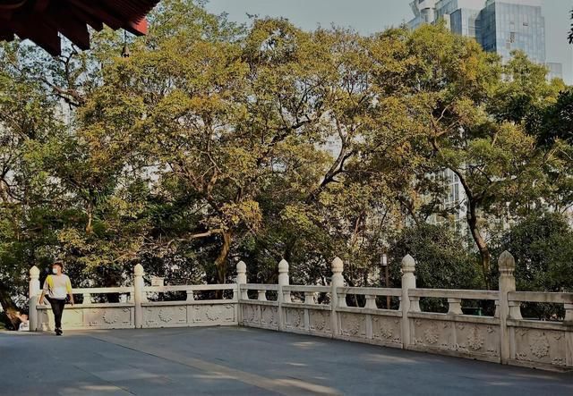 融化|温州又一公园走红，面积10.5公顷就在市区，景美人少还免门票