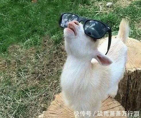 |幽默段子: 女,咱俩也生米煮成熟饭了,干脆结婚,二货男友回…