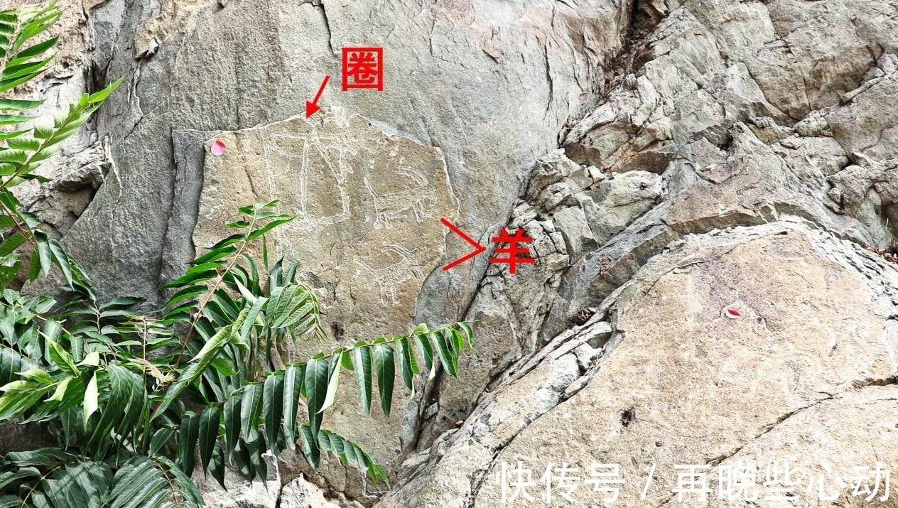 西夏|3000～10000年前，远古人在贺兰山的岩石上写写画画，画了什么？