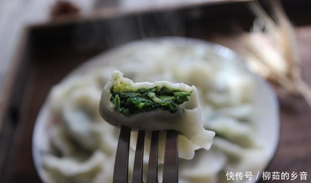 地面团|吃饺子这馅真鲜,比韭菜芹菜好吃多了,出锅连吃30个,比肉馅好吃