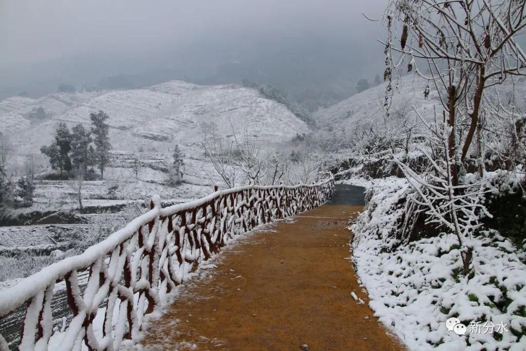 分水迎来新年第一场雪