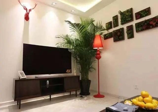 小户型|55平小户型只花了不到5万,头一次见这样的卫生间,太聪明了