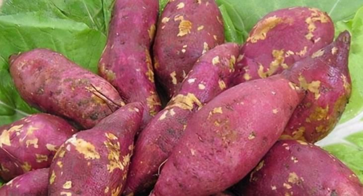 延缓衰老|女人爱美，常吃以下食物，营养丰富，延缓衰老，好吃又不贵