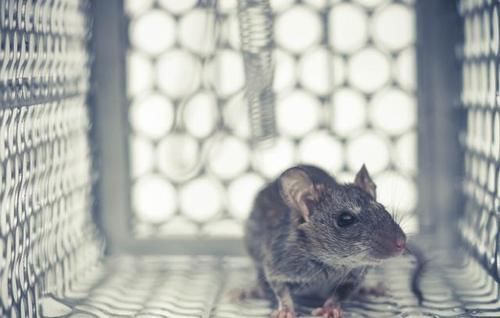  质量|睡眠质量不好怎么办，可以改善吗？两个步骤，带你远离失眠困扰