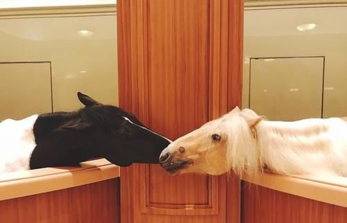 江苏这一小镇值得你来，斥资80亿的童话小镇，无需门票却少人知