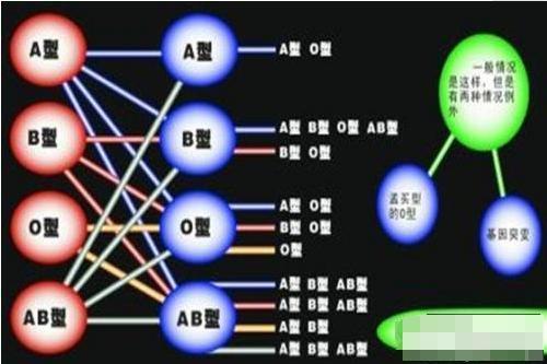 李女士|孩子智商高不高看他是什么血型,这两种血型搭配最聪明