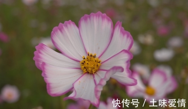 分寸|做人,可以精明,但不能“过头”