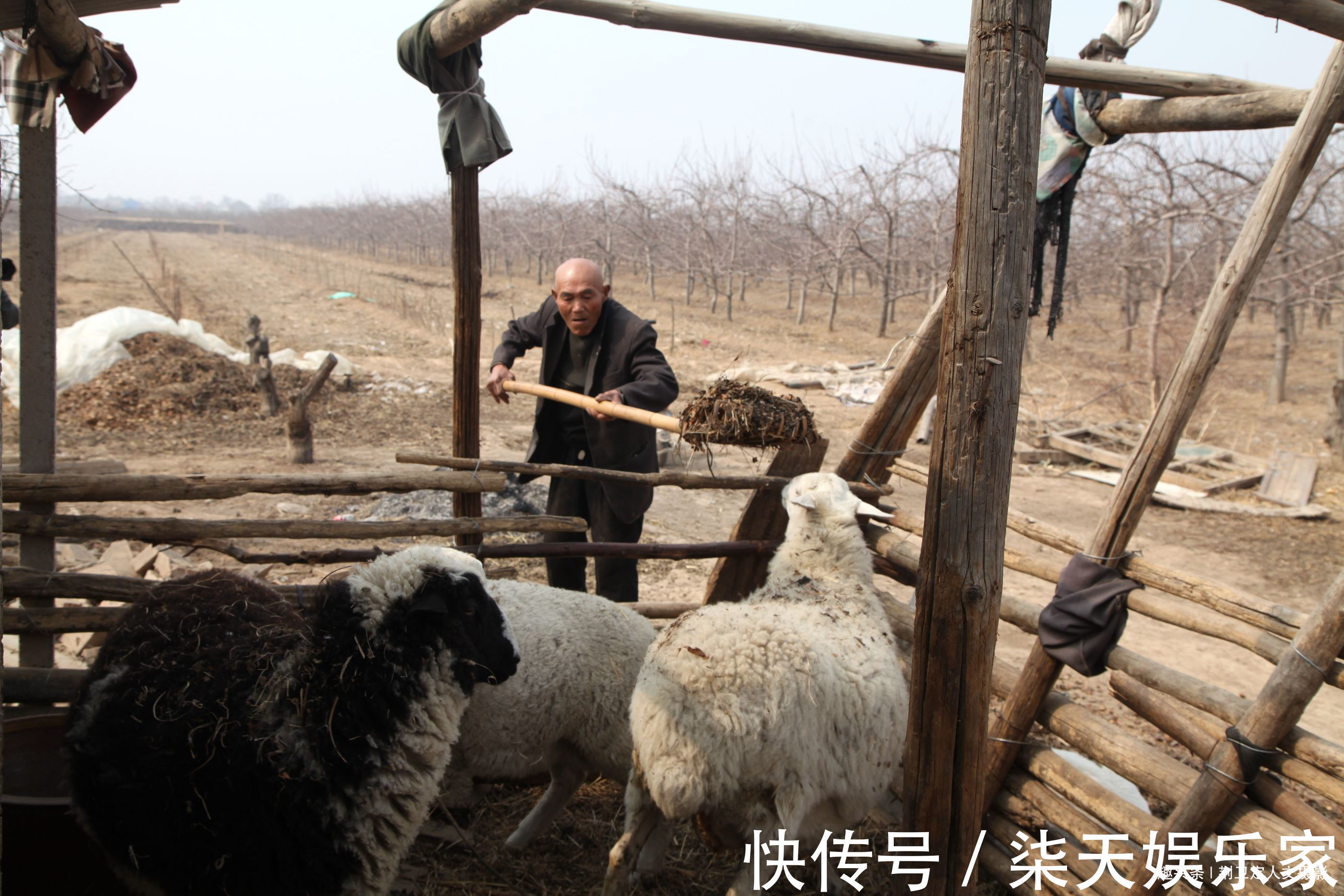 孙大叔|山西8旬农民大叔,吃“虫子”28年,看他身体成啥样