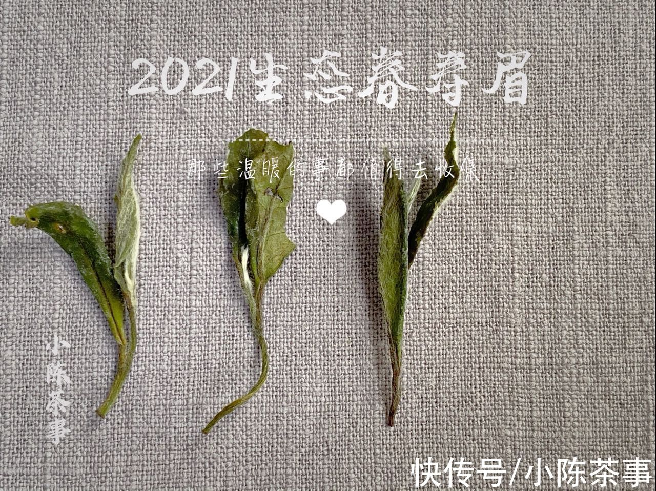 绿茶&六大茶类的划分标准，白茶、绿茶、红茶、黑茶，是靠颜色划分吗？