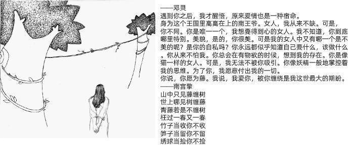 书荒|书荒了别错过,五本精彩好看的小说,熬夜也要看完,书荒的快来看