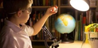 右脑|孩子聪不聪明,从这4个地方就能看得清清楚楚