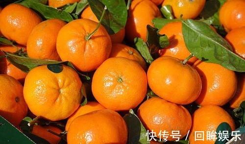 柑橘果|聪明的人爱吃3种食物，补充营养、增强体质，好处多多！