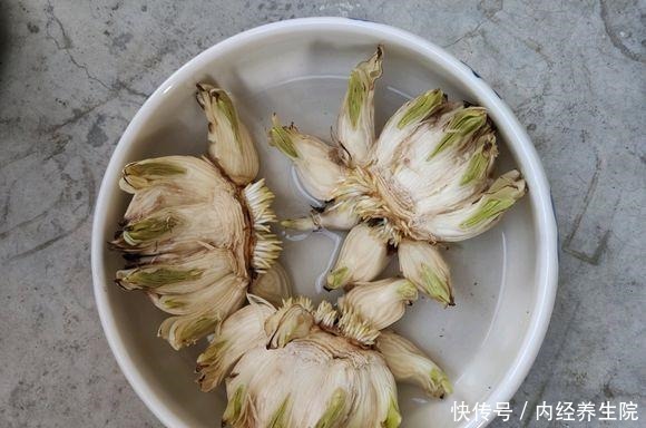 养这2种花的,冬天开完了,不要丢,简单“处理”,秋天接着开!