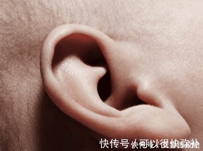 鼻子|孩子有四个这样的特征是“天生福相”,具备一项你就该偷着乐啦!