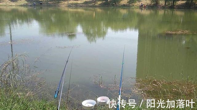 冬季钓鱼,别再“人找鱼”,下点猛料鱼儿乖乖“报道”!