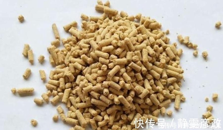 大板鲫最爱吃的饵料,制作简单又省钱,每次钓完还想钓,特别好用