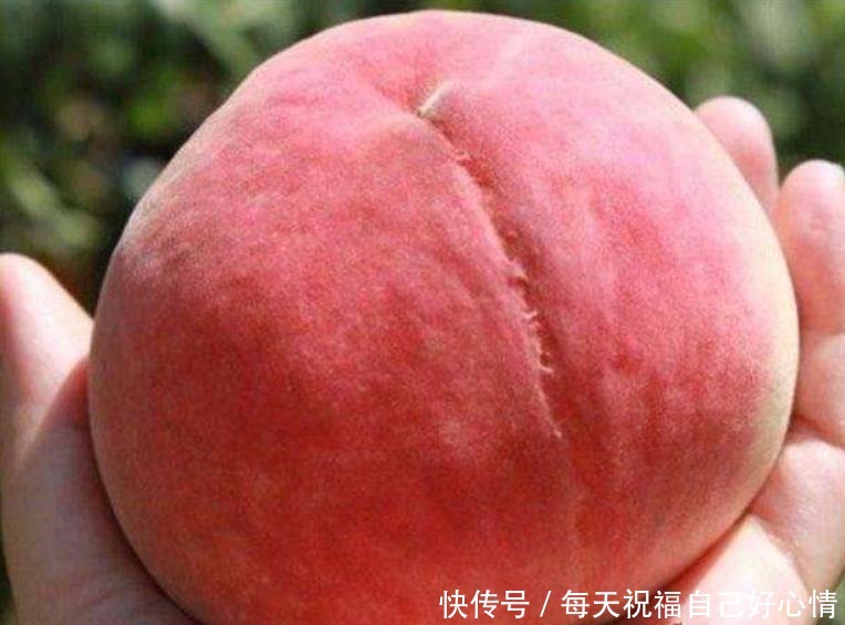 买错|若桃子身上没有这条线,8成是打了激素的,以后最好别再买错了