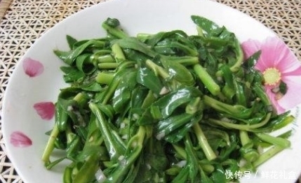 生命力|鄉(xiāng)下山坡的野草，傳說用金子也不換，吃它對(duì)心臟病有不錯(cuò)的療效