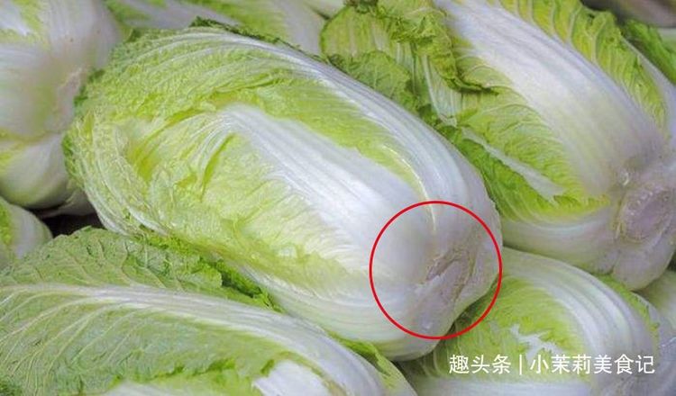 买白菜，“松散的”和“紧实的”差别大，记住3点挑出好吃的白菜