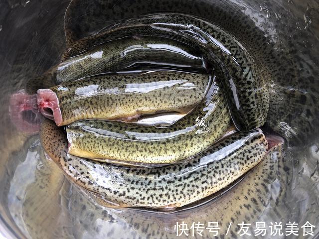 泥鳅豆腐汤|霜降过后,多吃这种“水中人参”,营养滋补,吃了冬天不怕冷