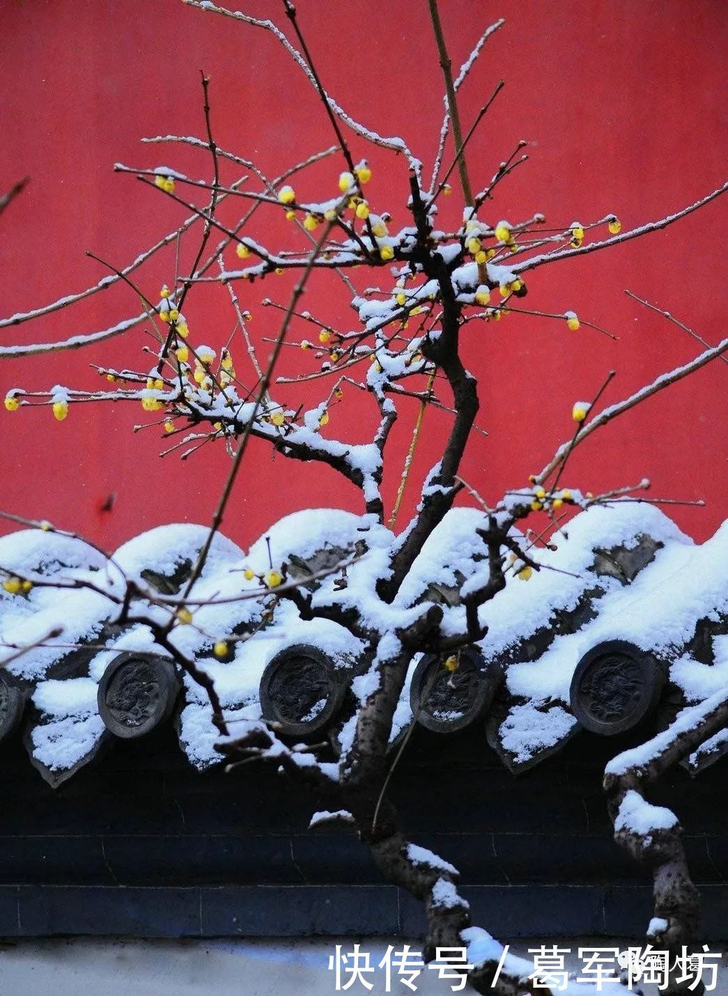 山河流霜 白羽倦飞|大雪 | 白羽