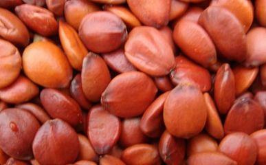 睡眠质量|失眠最怕这种种子,每天坚持泡水喝,失眠会远离你,一觉睡到天亮