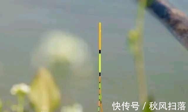 浮漂顶起又落下，提竿却均不中鱼解读3种奇怪漂相不中鱼的原因