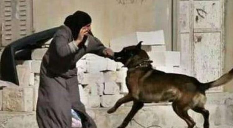 三国演义中#老祖宗的忠告:“喂狗别喂饱”是什么意思?其实后半句才是重点