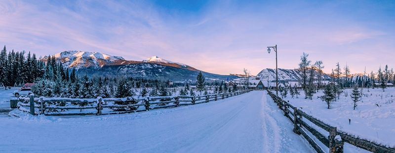 老年|大片来袭！雪季的喀纳斯，带你领略新疆童话般的冰雪世界