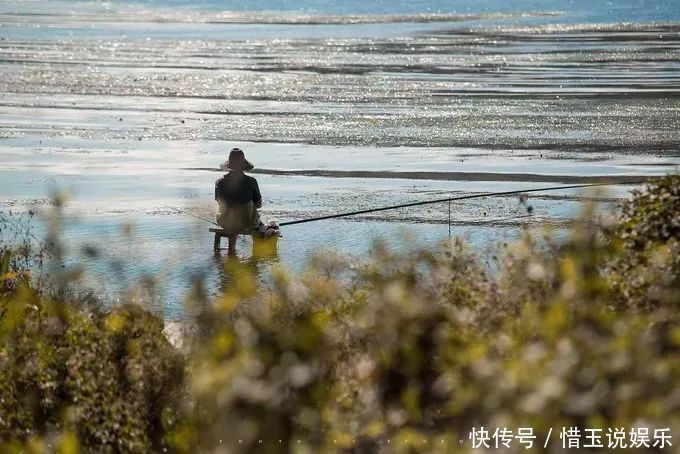 万顷松涛|喜欢安静的人，来这20个地方就对了。