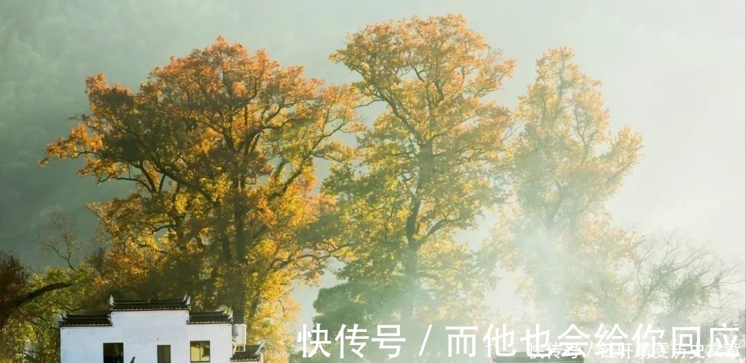 纳兰容若$20句令人惊艳的诗词,读一遍,就再也忘不掉