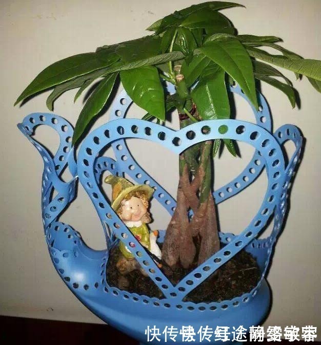 用完的洗衣液瓶千万别扔，它大有妙用！