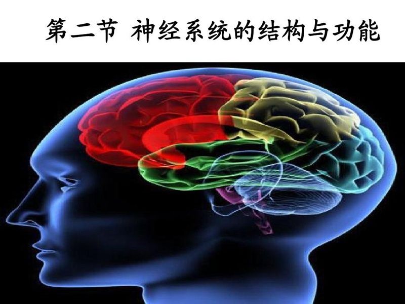 手机|沉迷于“垃圾快乐”的孩子,对大脑的伤害可不是一点半点,要重视