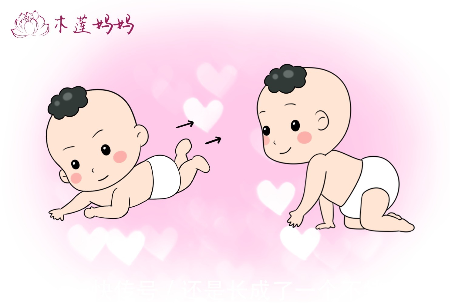 孩子|家有爱宠锻炼“四脚吞金兽”的爬行技能,为“进化”打基础