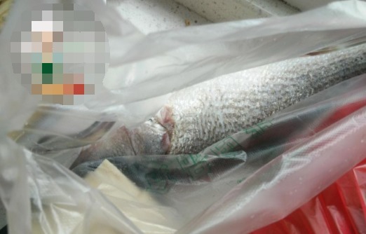 这鱼多吃,肉厚刺少,鲜美细嫩