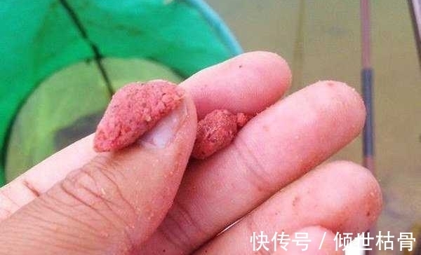 饵重|钓鱼技巧：调漂方法虽然有多种，但要做到精准，都要遵循这些要点