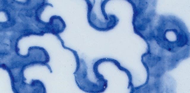 乾隆#600块钱在地摊上淘一个乾隆的青花云龙纹瓶,摊主气得蹲路边骂街