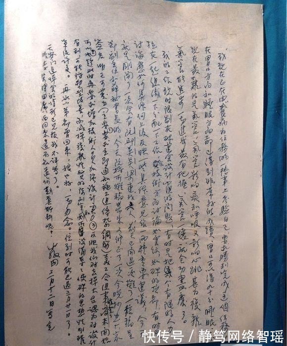 英文#植物大战僵尸:它们能够取代坚果家族?站着不动都能消灭僵尸!