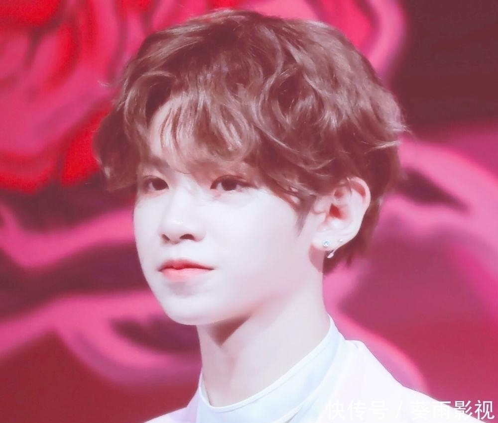 综艺节目 又一经典综艺节目疑似官宣,何炅和撒贝宁搭档,相信很多人期待