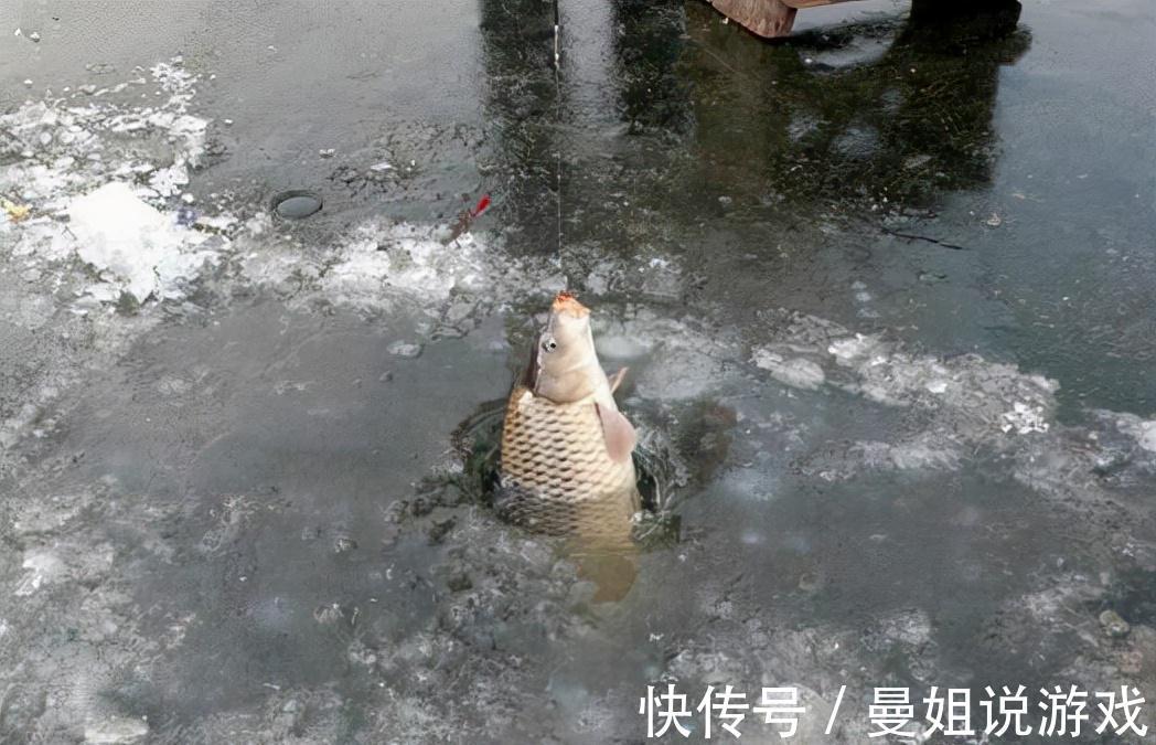 冬钓想要钓得多、钓得大,你就必须会四个“小”