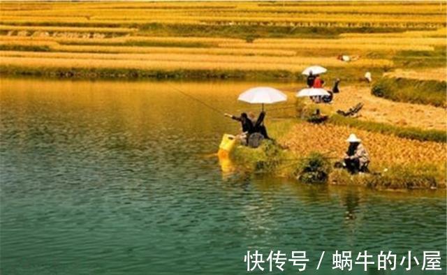 法宝|秋季野钓，用这些必胜法宝，不爆护是不可能的
