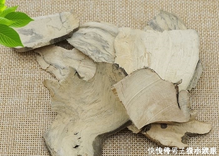 农村一种神奇植物，叶子可以用来做凉茶，如今一斤能卖50块钱