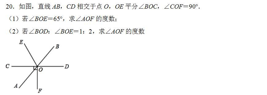 七年级数学（上）期末复习备考试卷