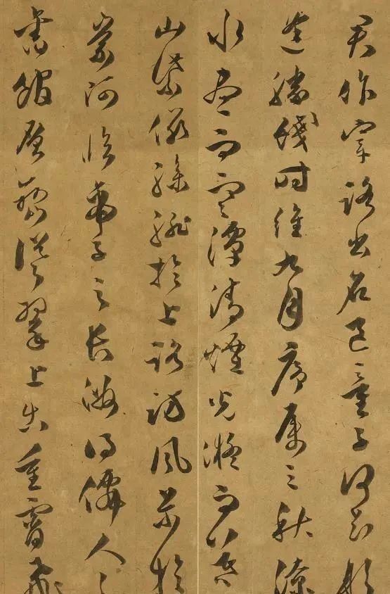 书法|你见过文徵明儿子这幅字吗?比他老爹强,堪称草书中的精品