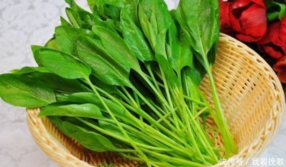 上皮细胞|女性担心老太快,常吃3种食物,消肿利尿、化痰止咳