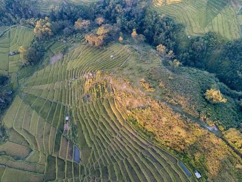 德格拉朗|“稻”梦空间：亚洲这13处如画般的稻田景色迷人，中国三处上榜