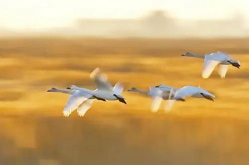 爱德华|人到50，如果不在四个方面“心狠”一点，难免晚境凄凉