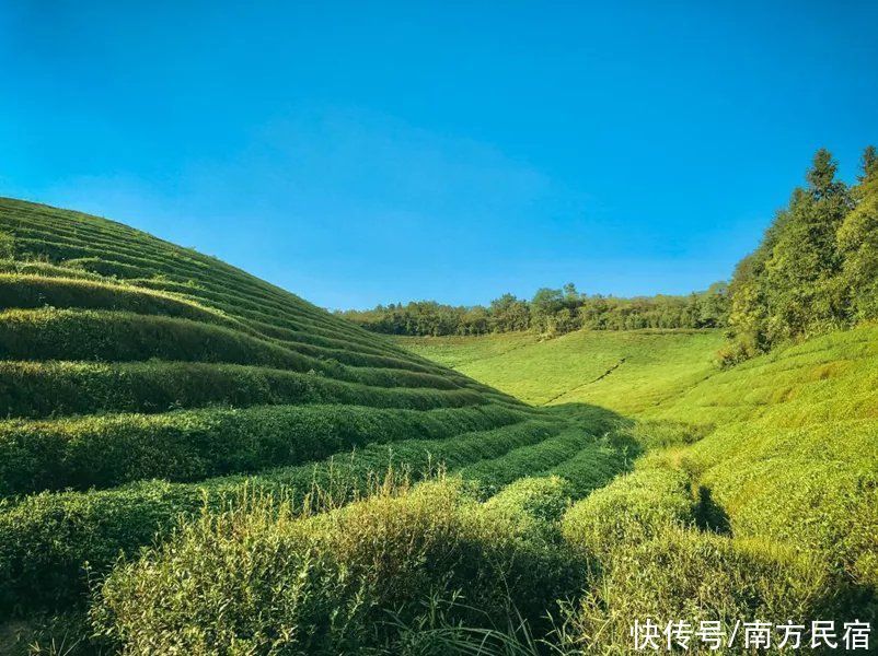 黄浦江源|安吉这个坐拥山野世外之地的民宿，泳池、茶园丨尧珈·清水谷民宿