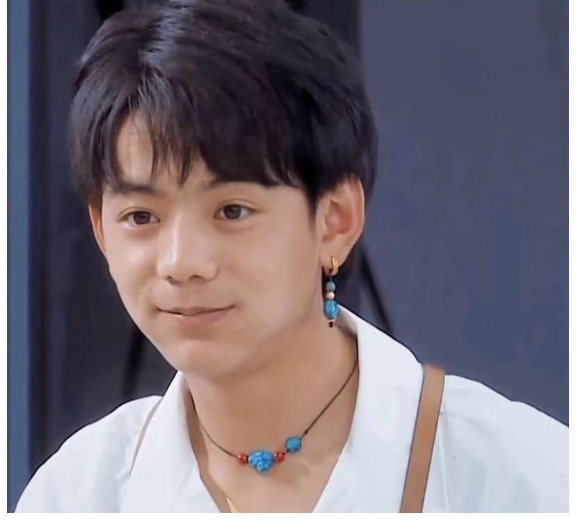 《中餐廳》丁真做菜洗碗姿勢(shì),又純又認(rèn)真的原生態(tài)男孩,你愛了嗎